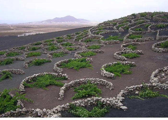 Estudio D - קוסטה טגוויסה